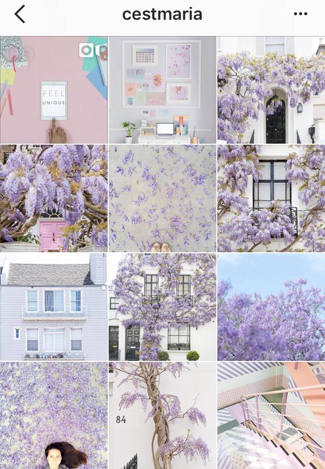 cestmaria seasonal theme colour