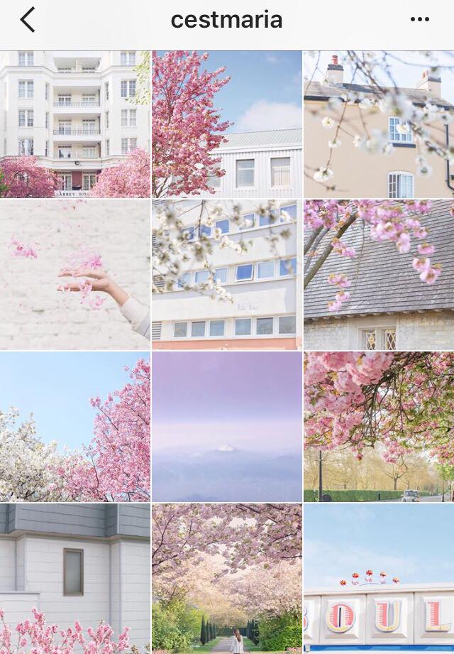 cestmaria seasonal theme color pink